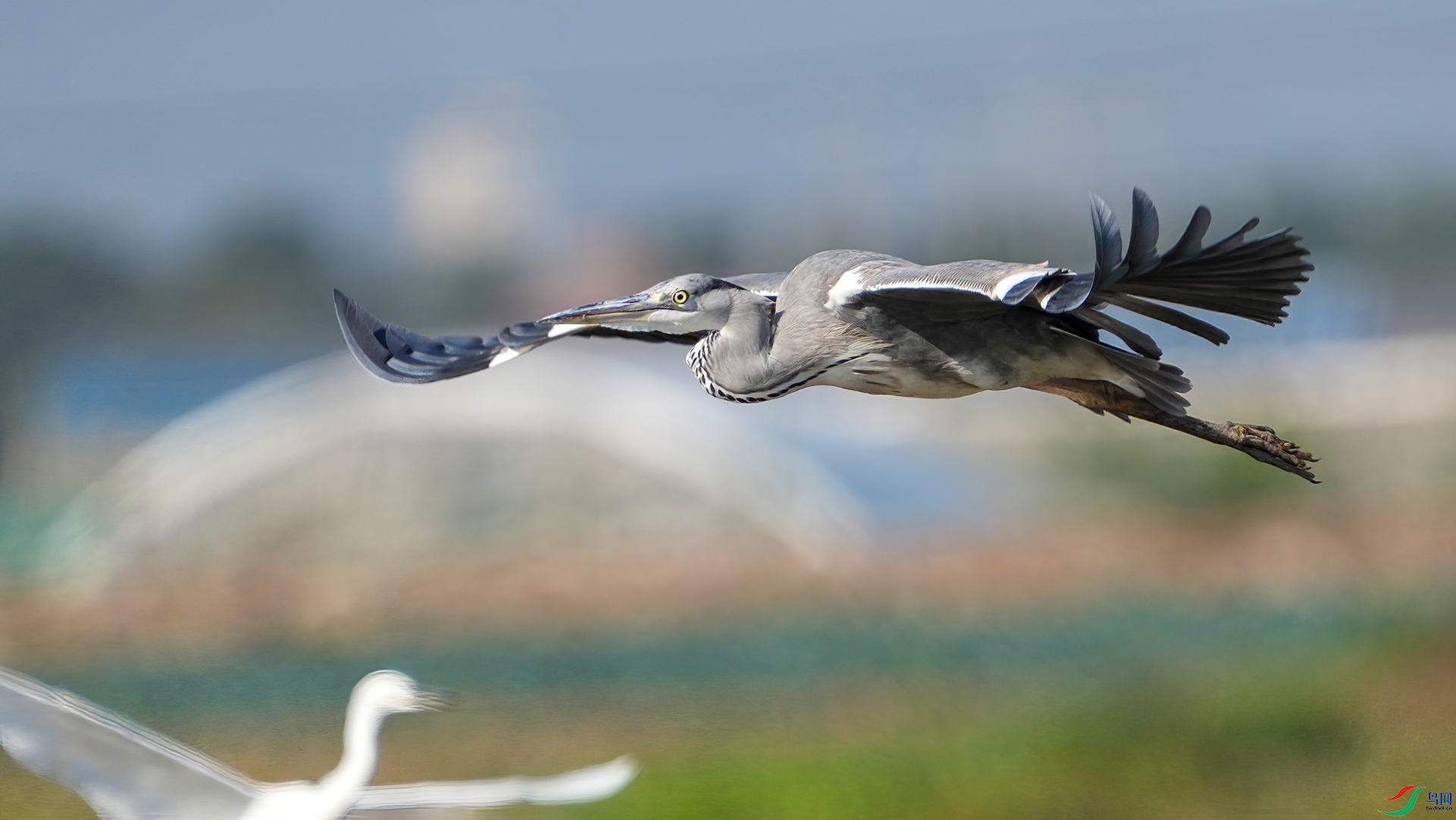 DSC00028.jpg