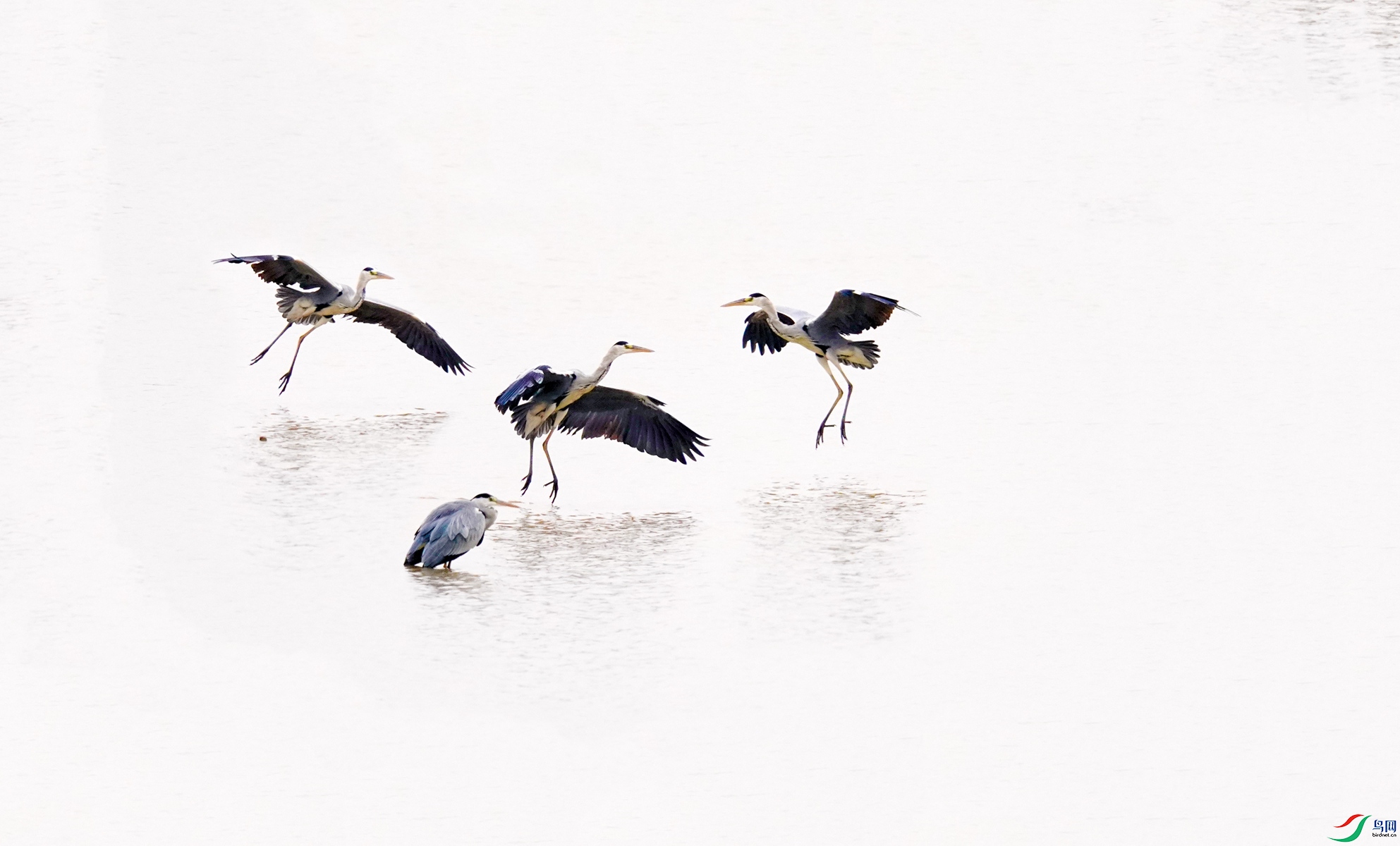 2 DSC04939��_����.jpg