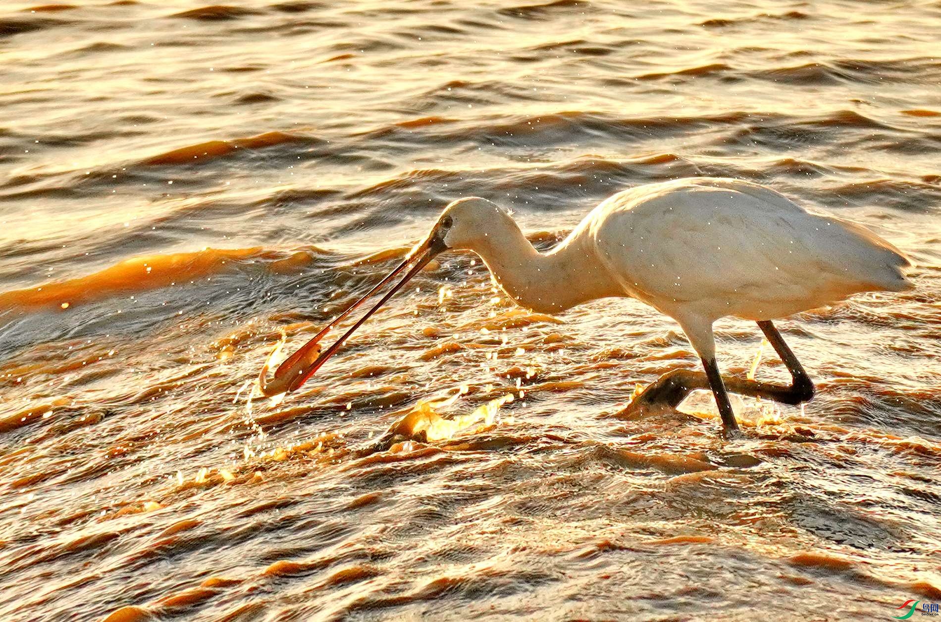 ���������㡱