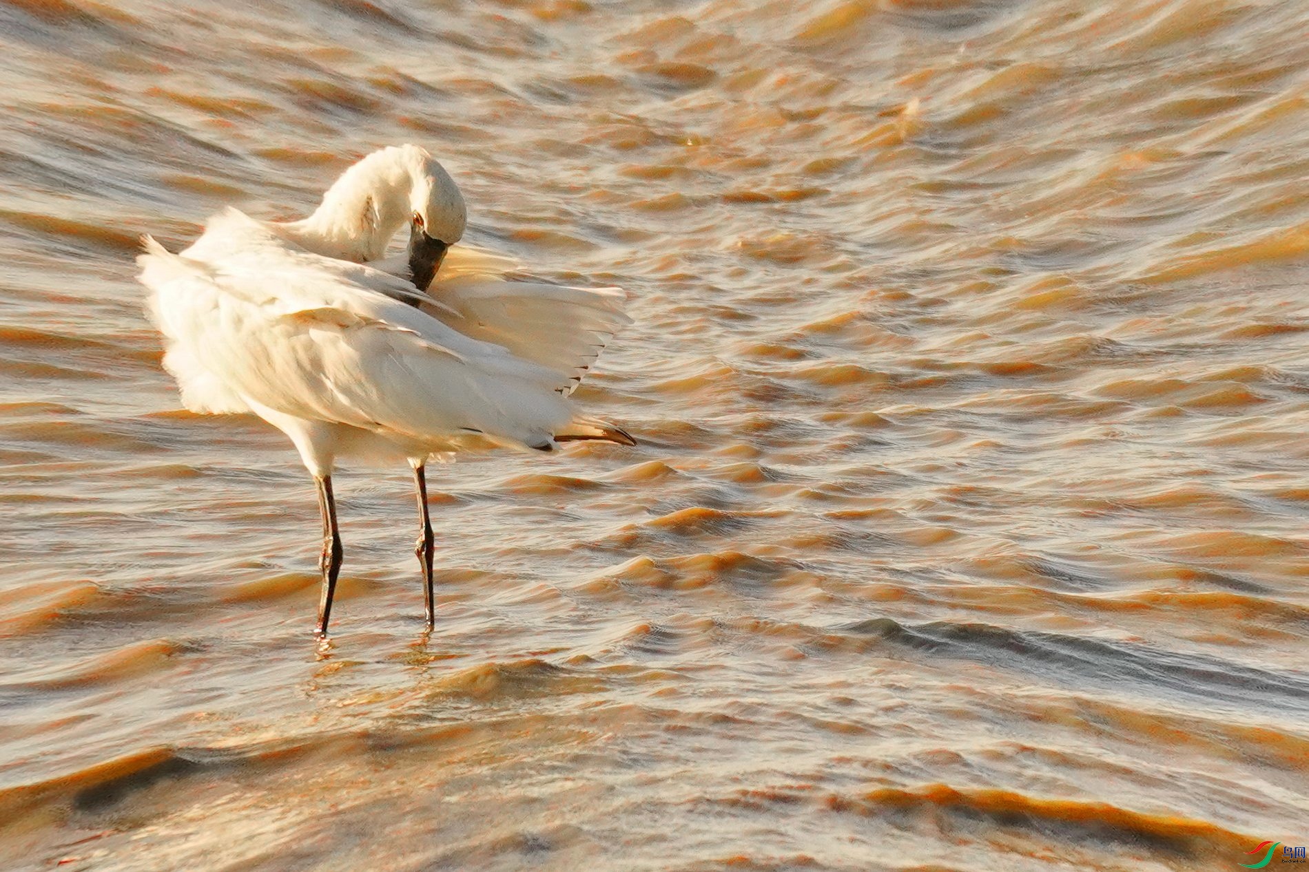 ��ˮ�ϰ��١�