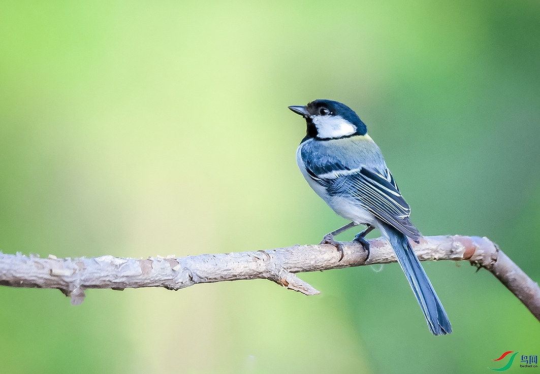 DSC_4188.jpg