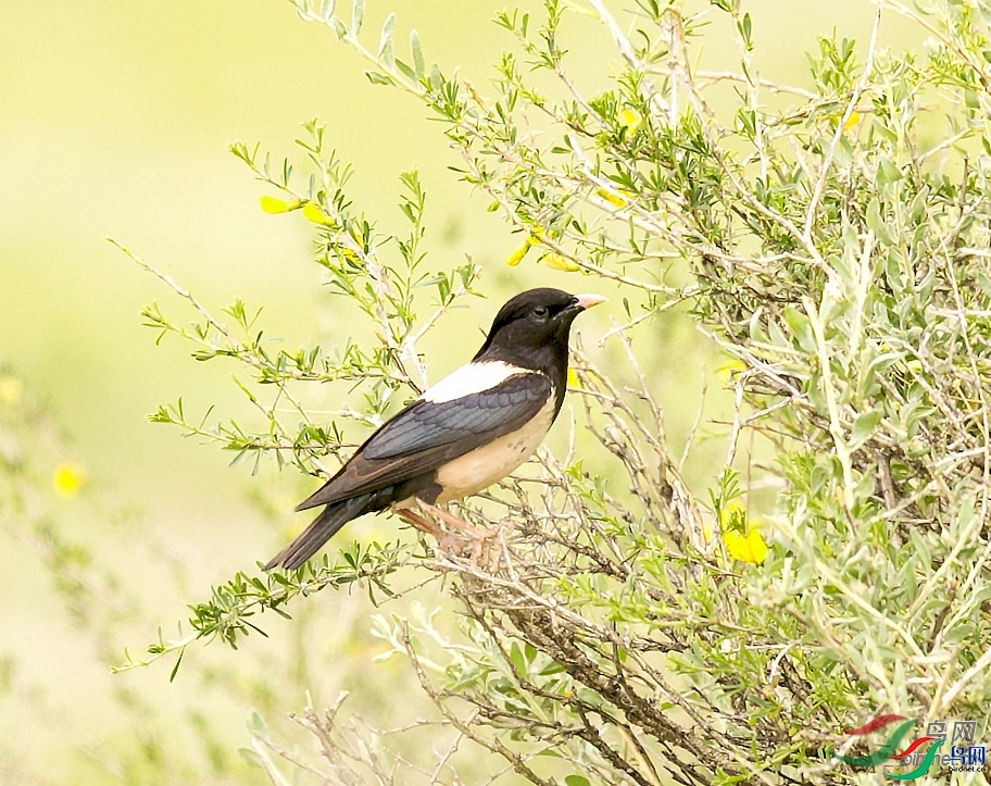 0529 ��ʦ�������½�**������������������.jpg