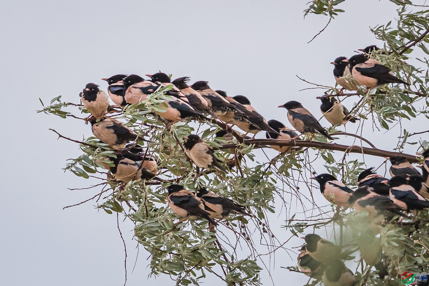 ��ͷ�� ��ʦ�������½�**�������� ����̩������������0.jpg