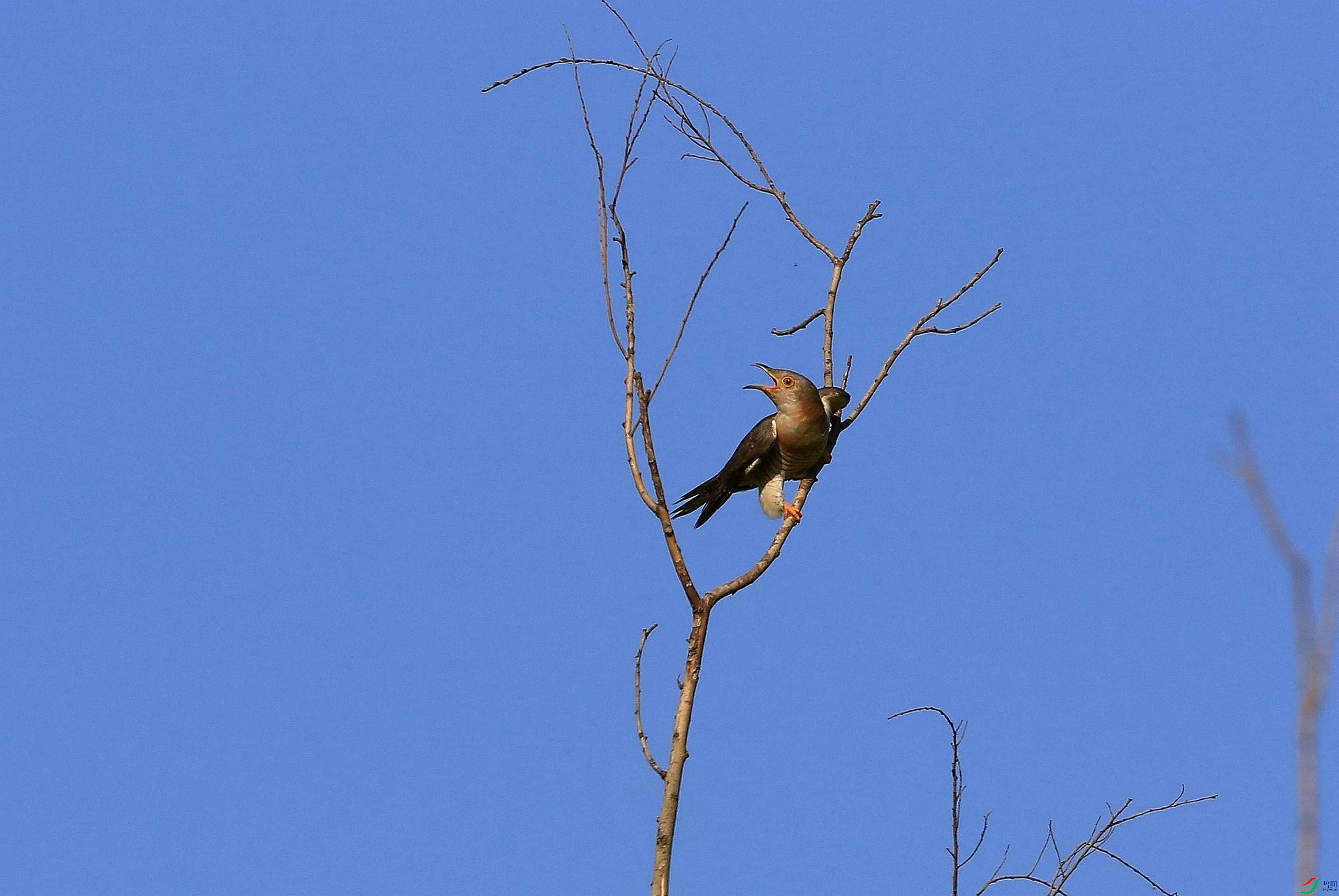 IMG_6377.JPG