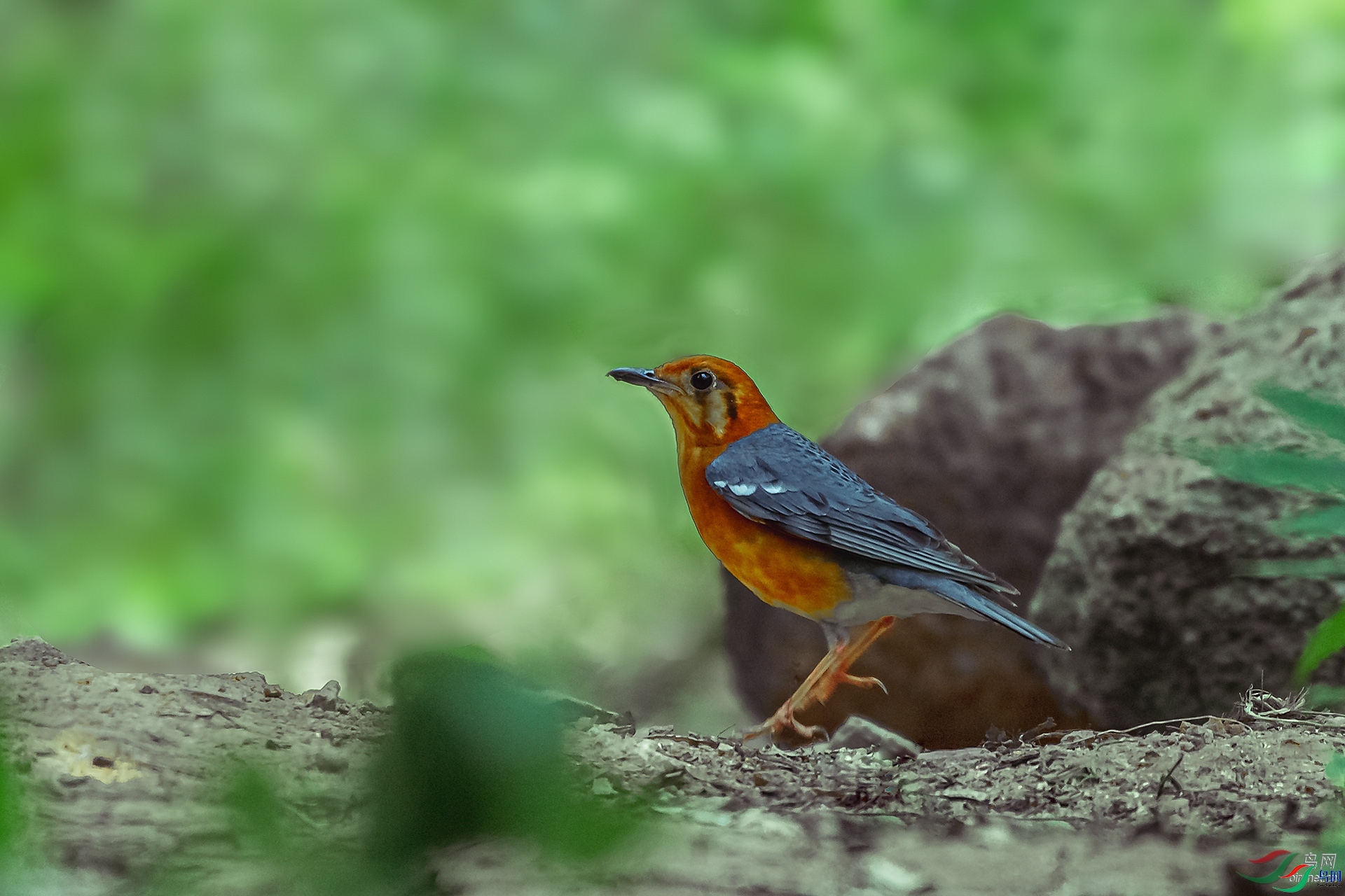 �ҵ������й�  ��ʦ������ɽ��ʡ������.jpg