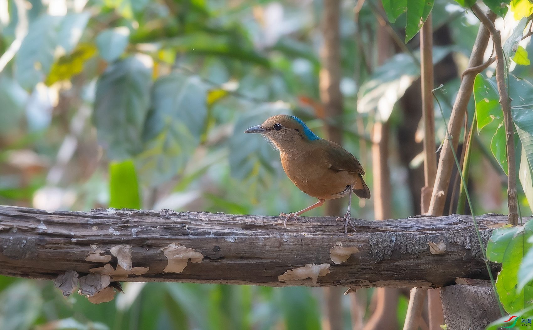 DSC_4602.jpg