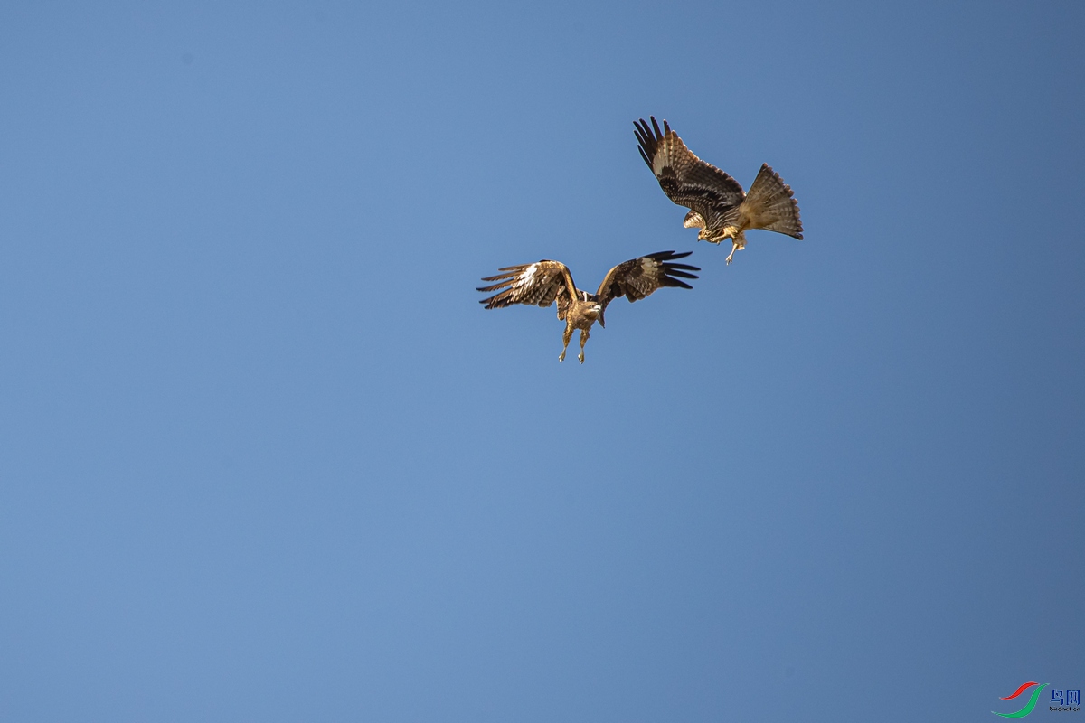 DSC_3657a.jpg