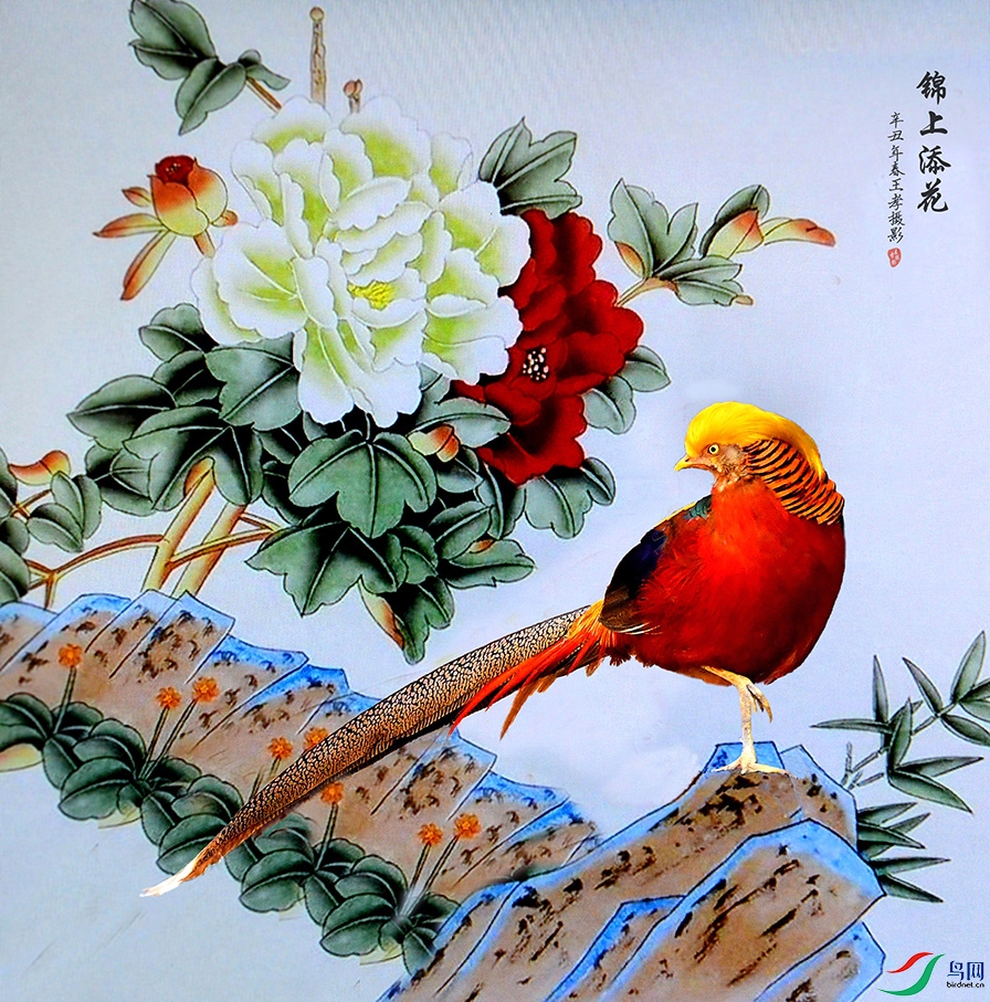 5.��������-�츹����4287AM.jpg