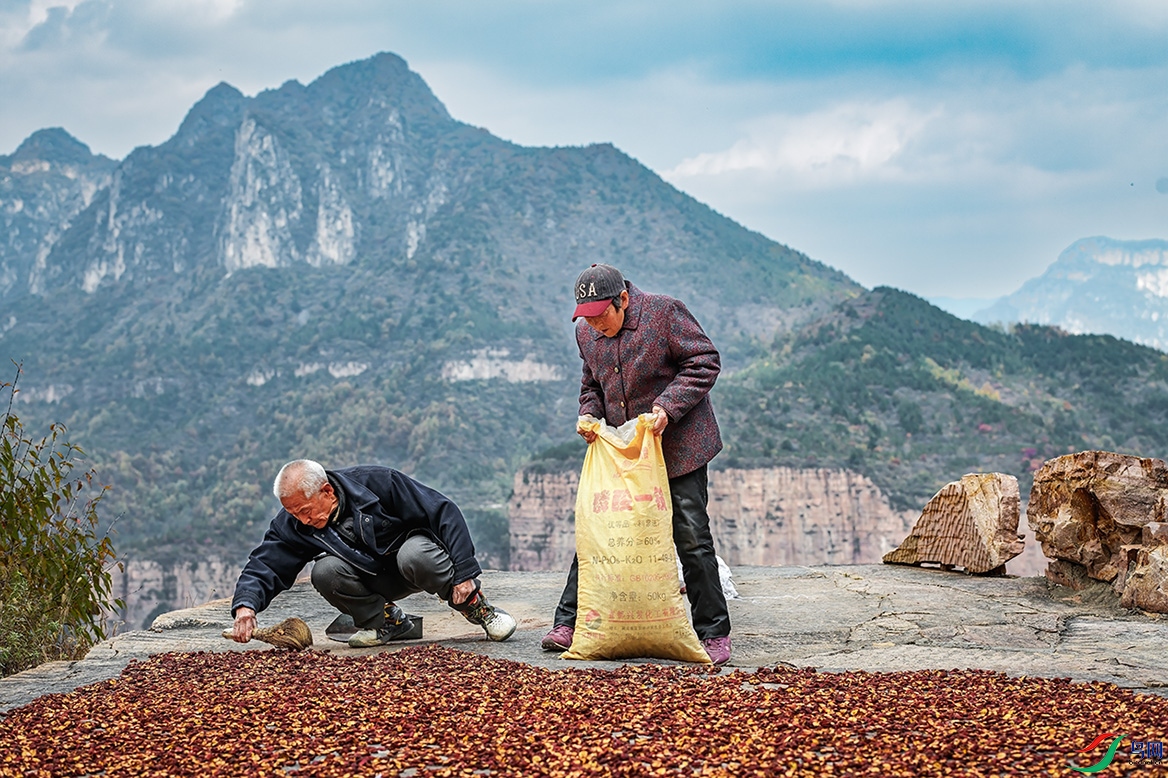 �����ں��ϻ��ر���կ��