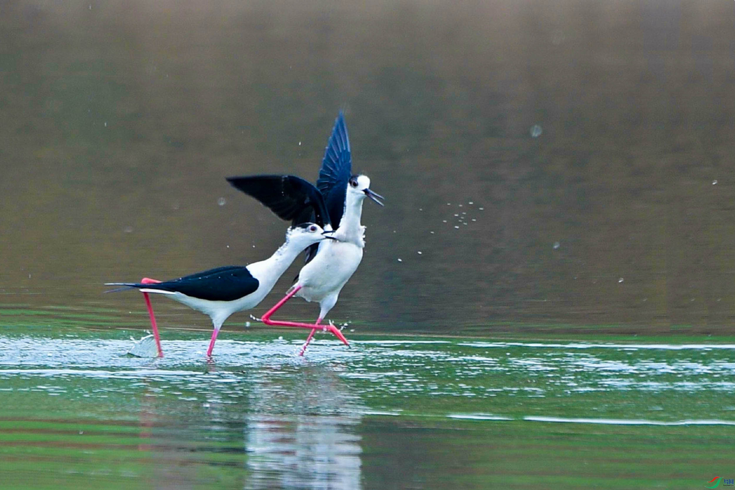 �ڳ᳤����  (5).jpg