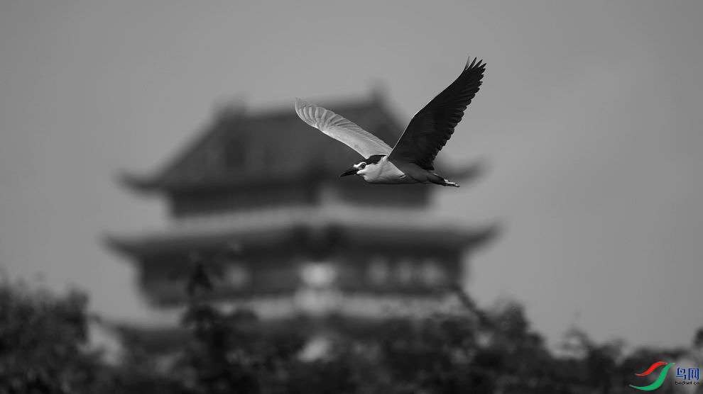 DSC_3808.JPG