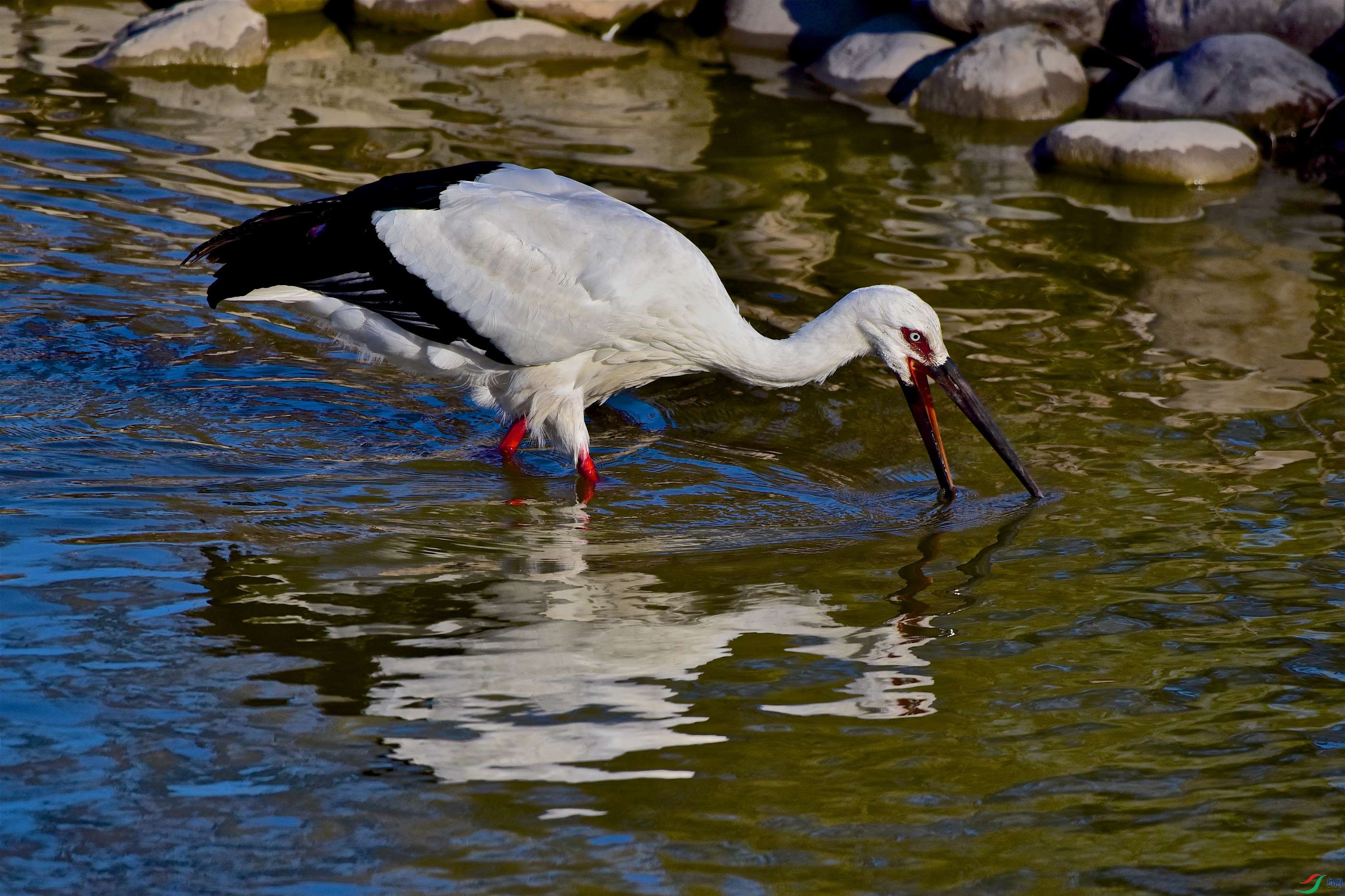 DSC_5898-1.jpg