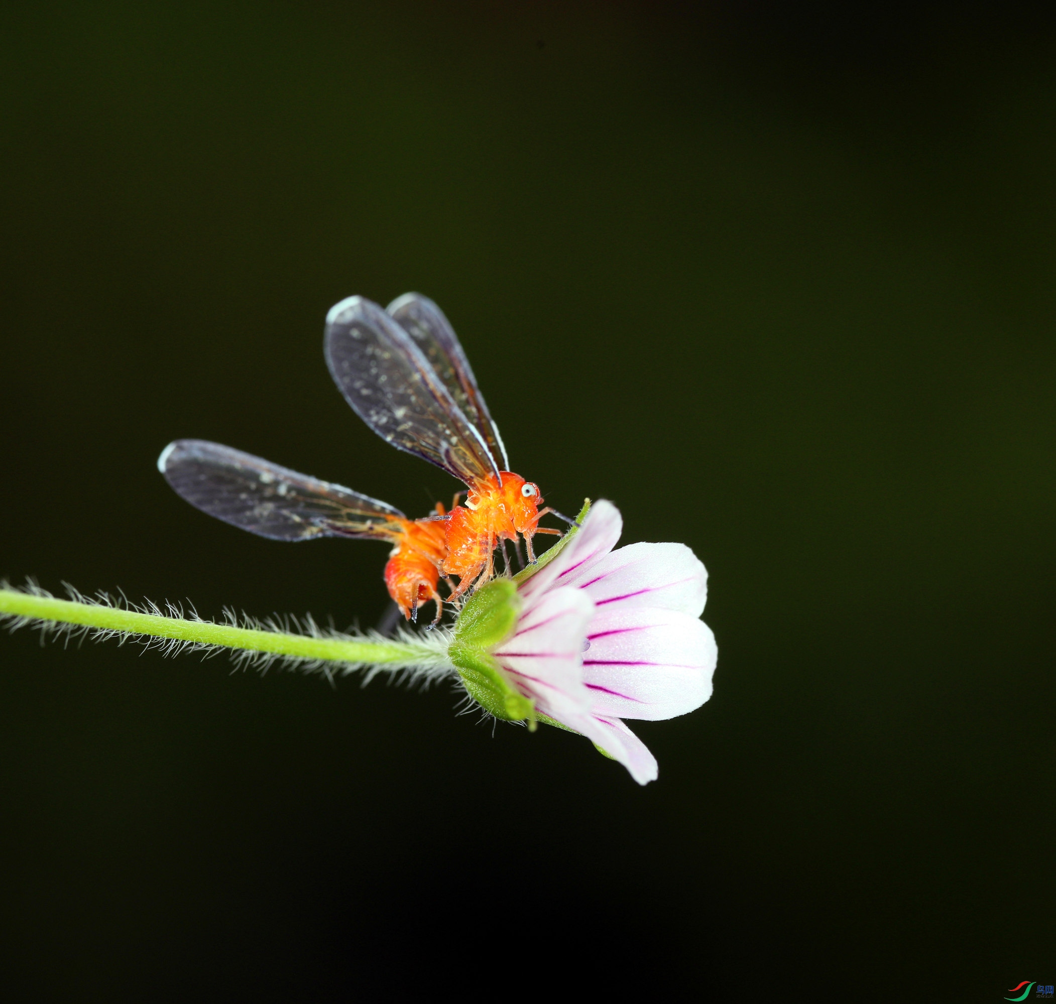 EC6A0325_����_����.jpg