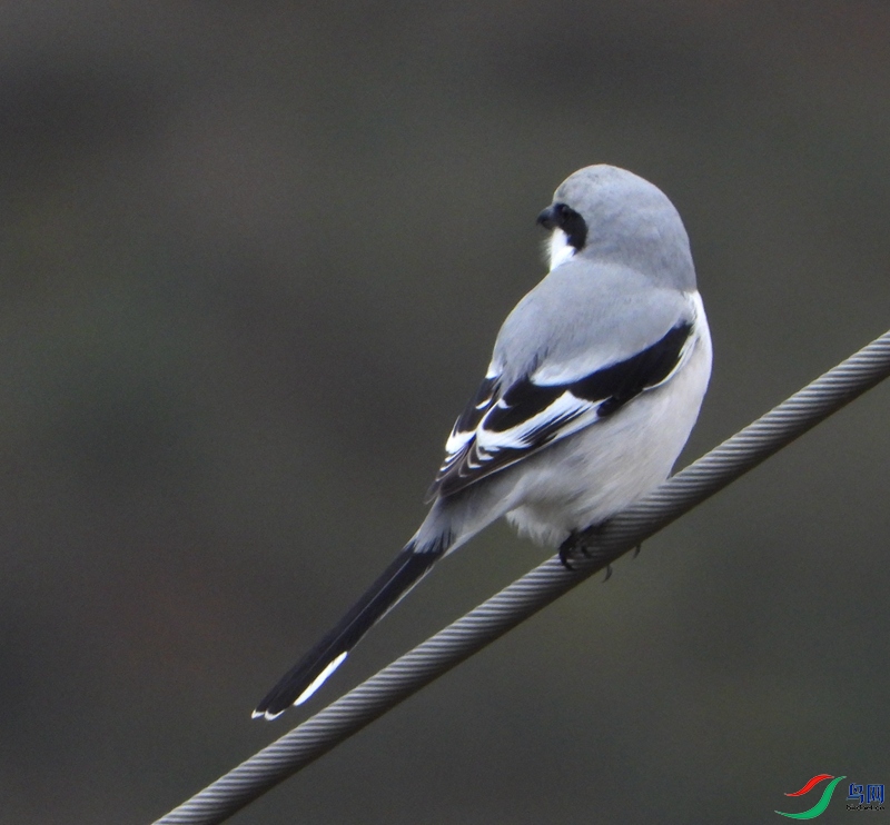 �Ҳ���2 (2).JPG