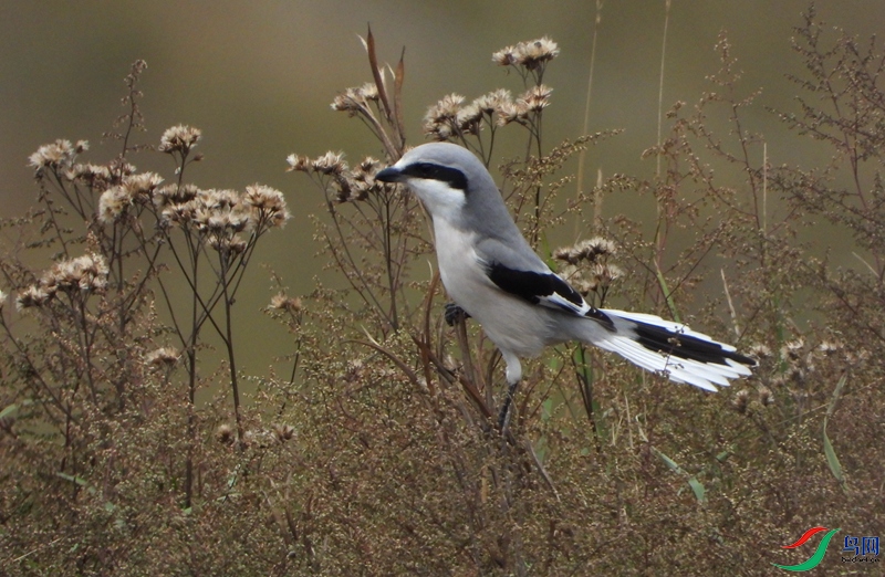 �Ҳ���2 (1).JPG