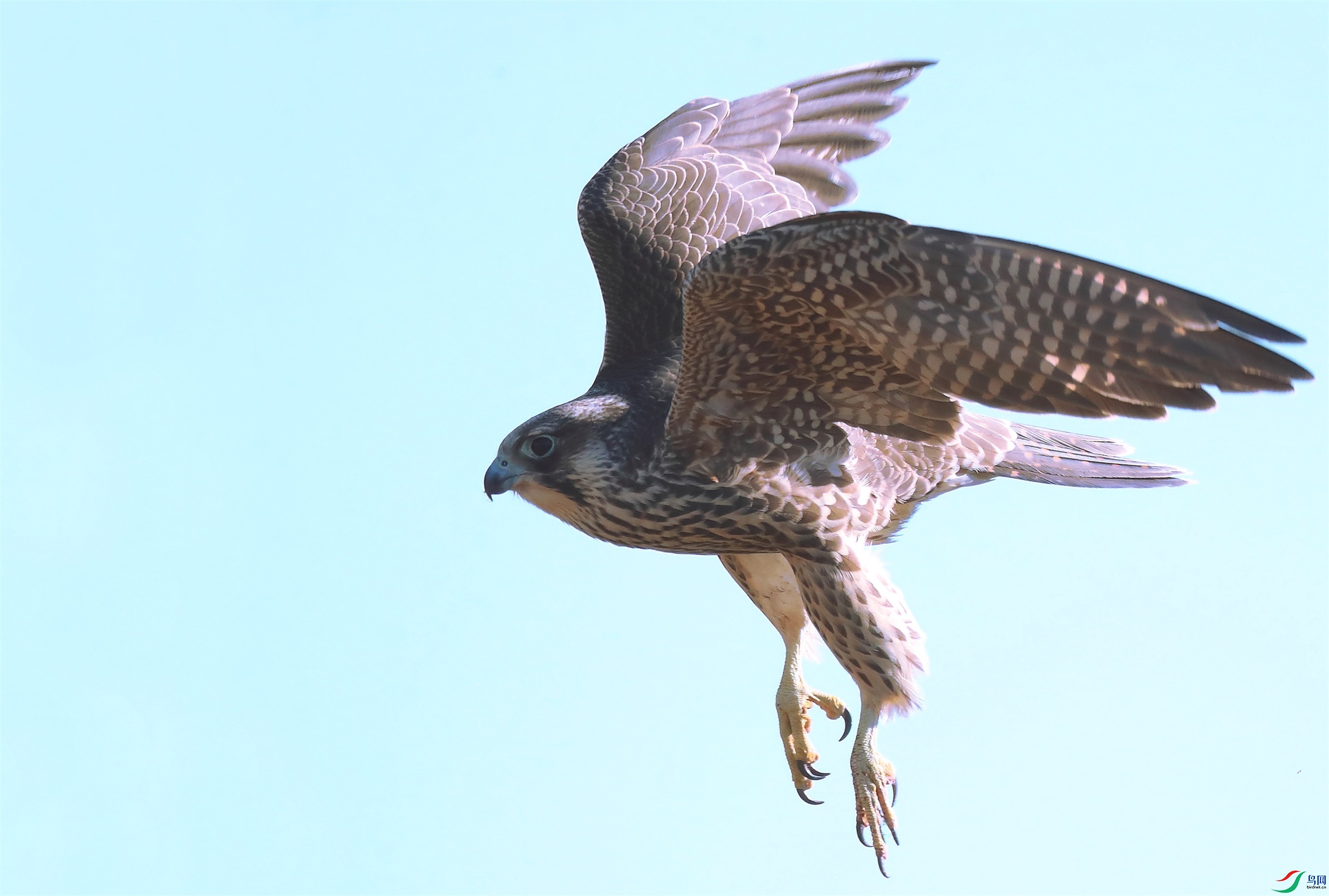 21 - ���� (2).JPG