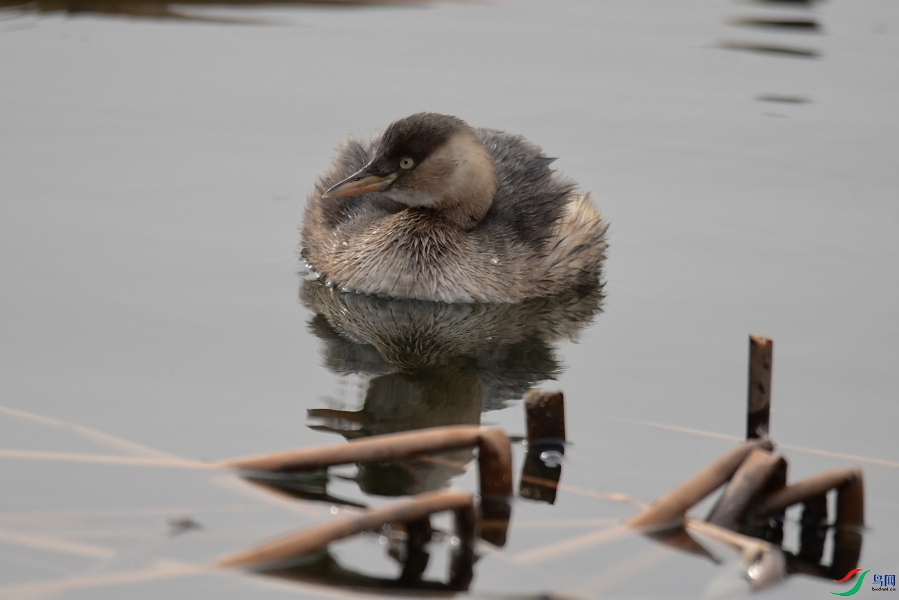 DSC_0914��·��ٷ� (2).jpg