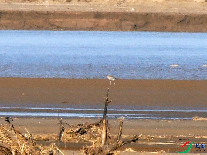 P7620774 - ����.JPG