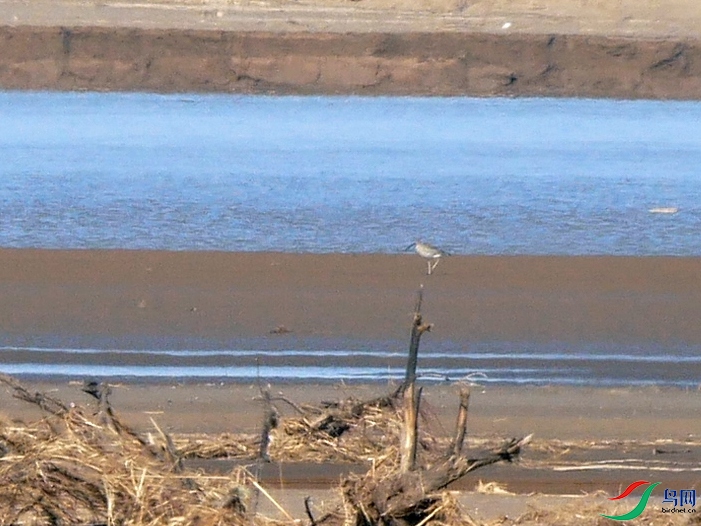 P7620775 - ����.JPG