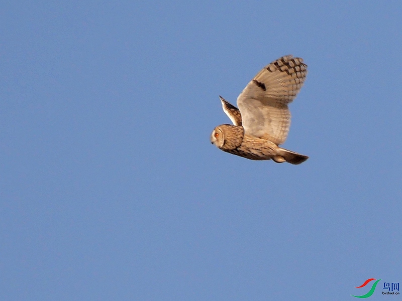 P7610350 - ����.JPG