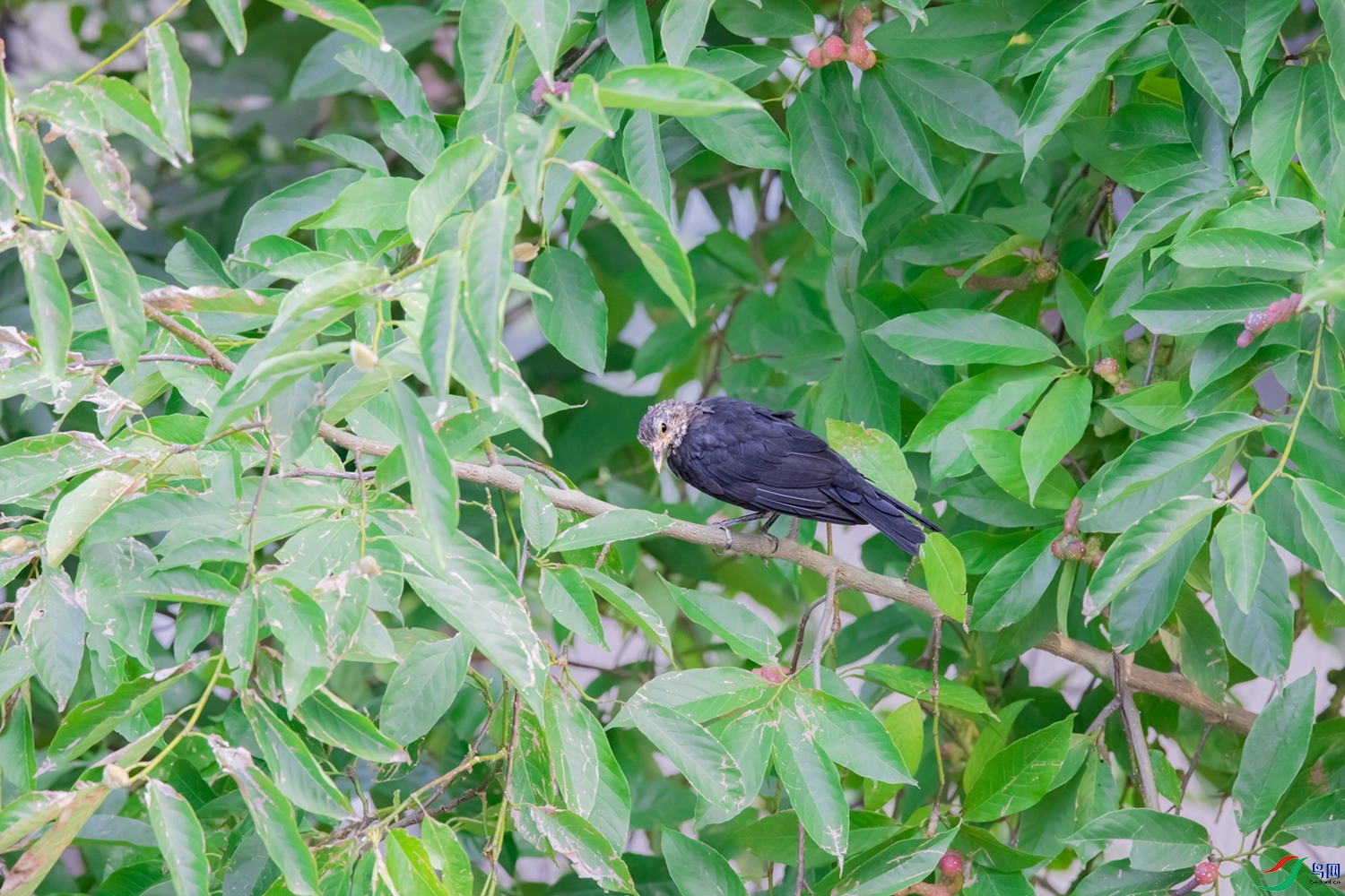 20210819-- (1)-14��.JPG