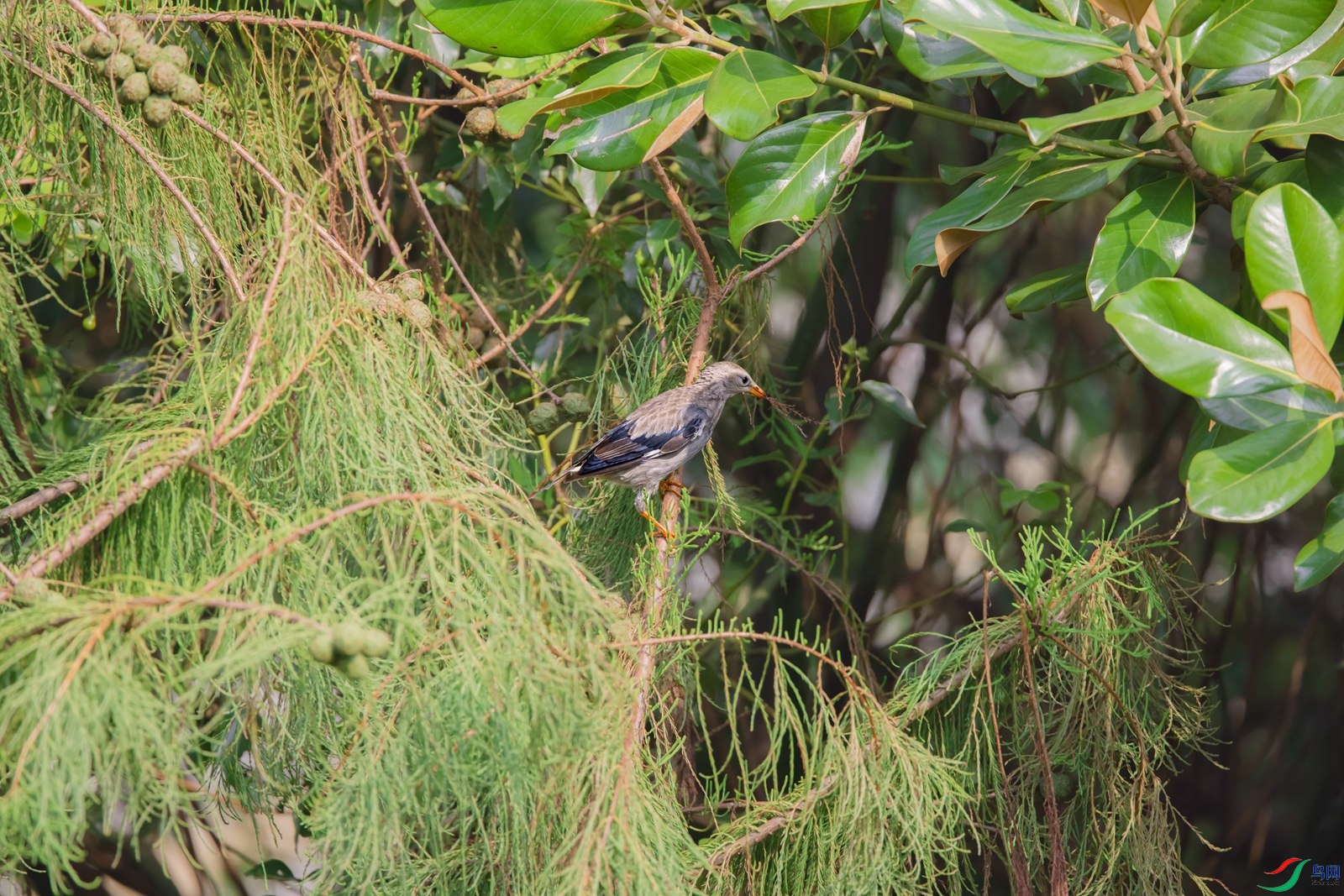 20210819-- (1)-1.JPG