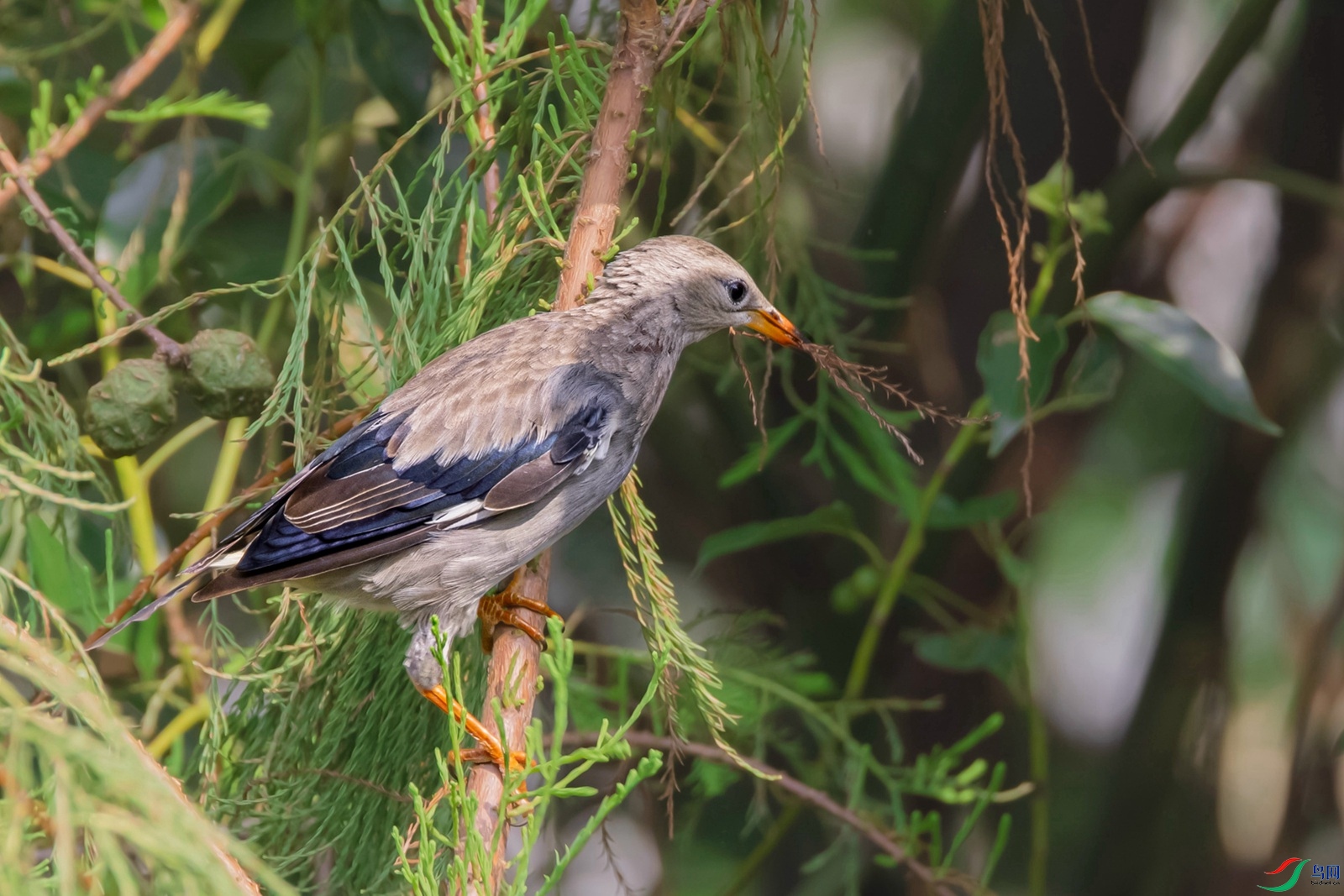 20210819-- (1)_����.jpg