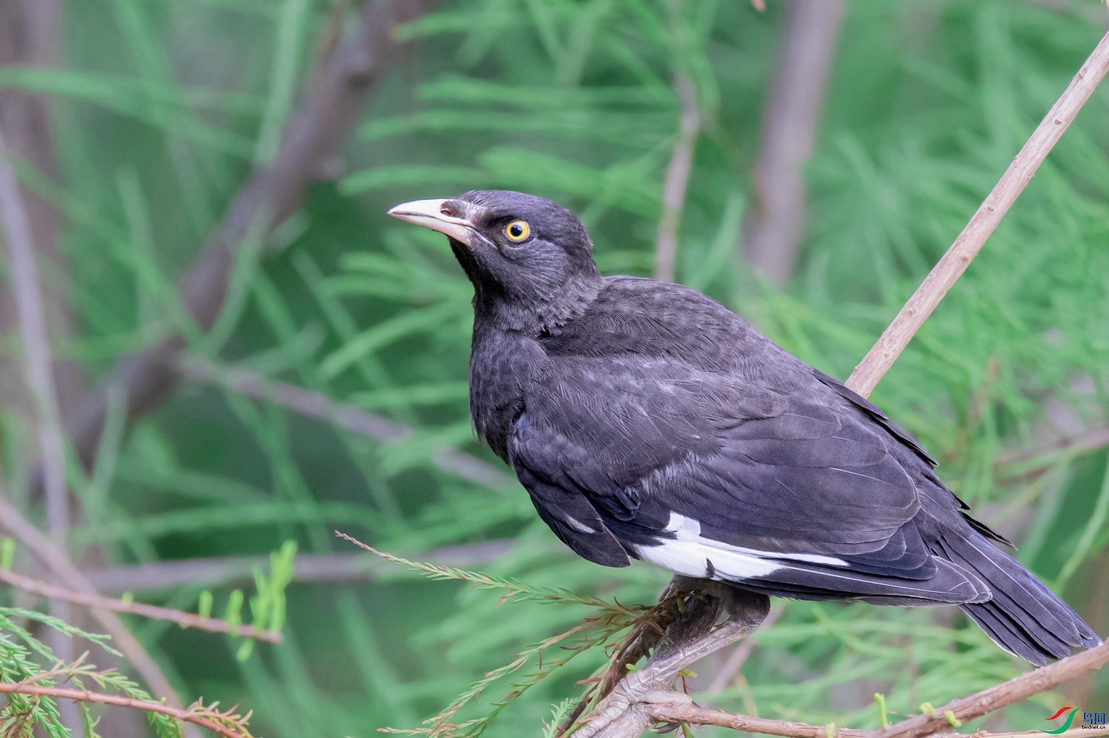 20210819-- (3)_����.jpg