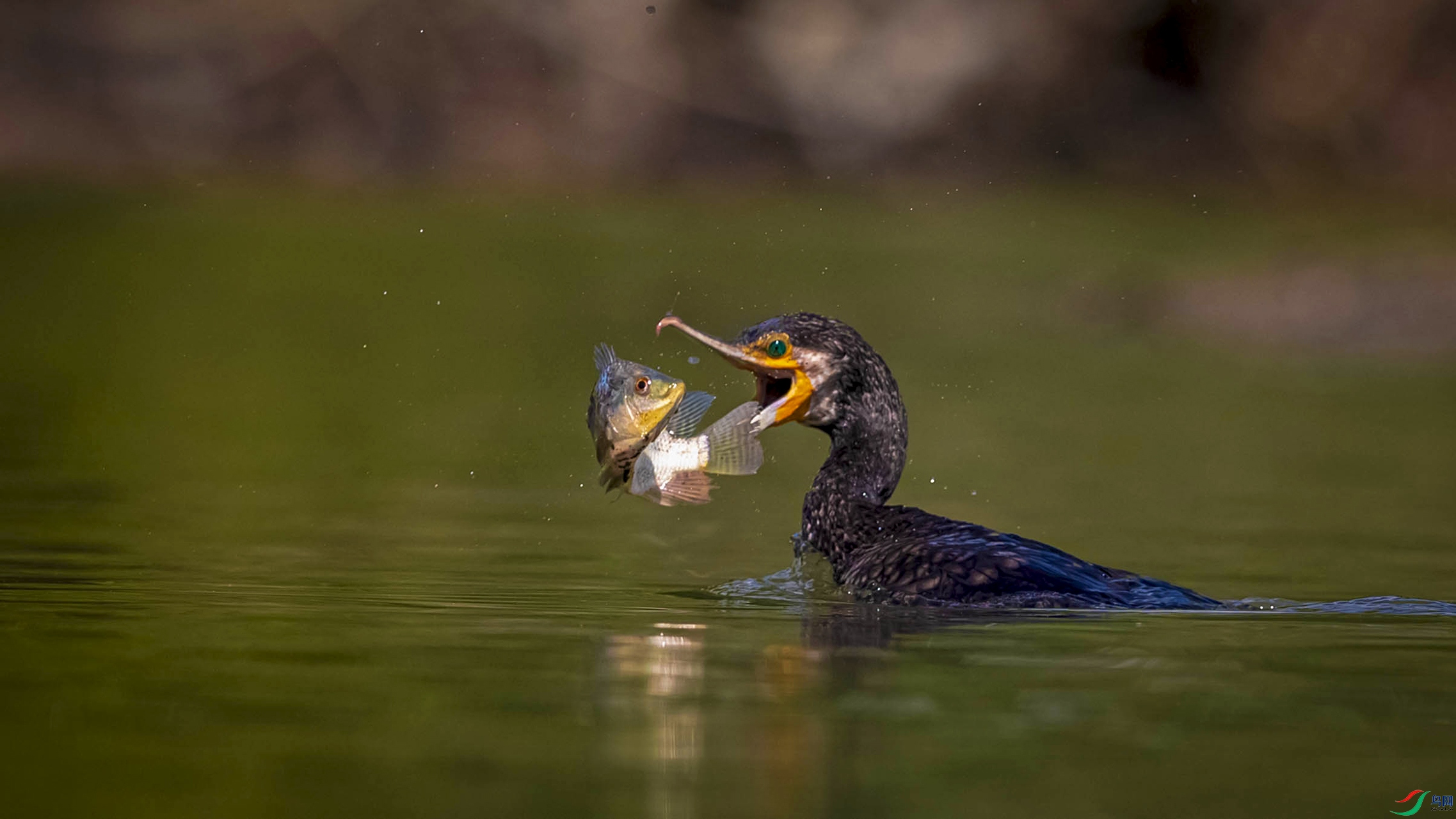 BP1I1598 ����.jpg