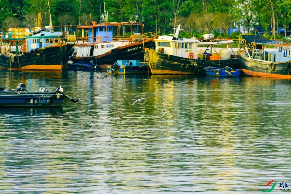 �߿�������ͷ