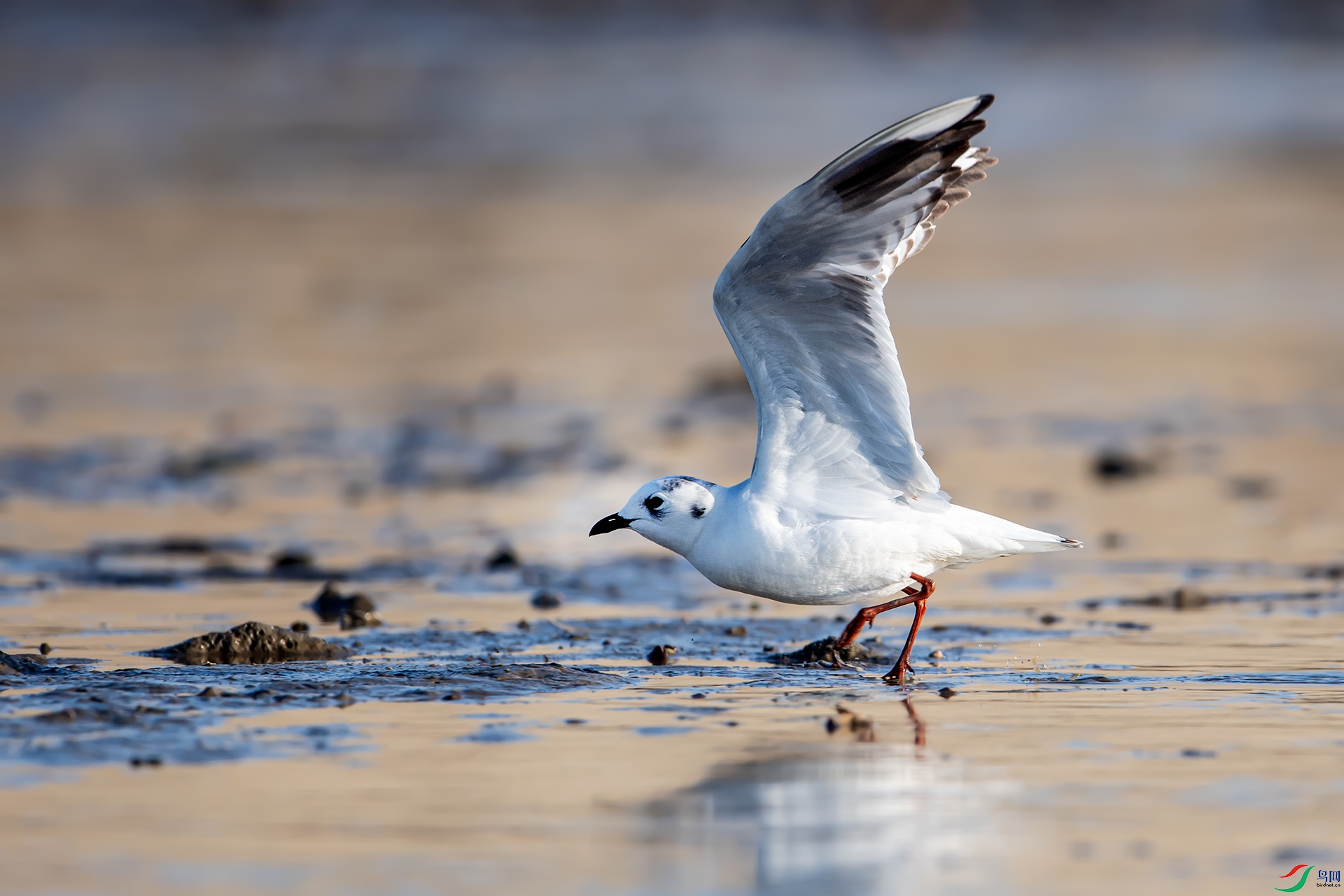 20211115��� (1).jpg