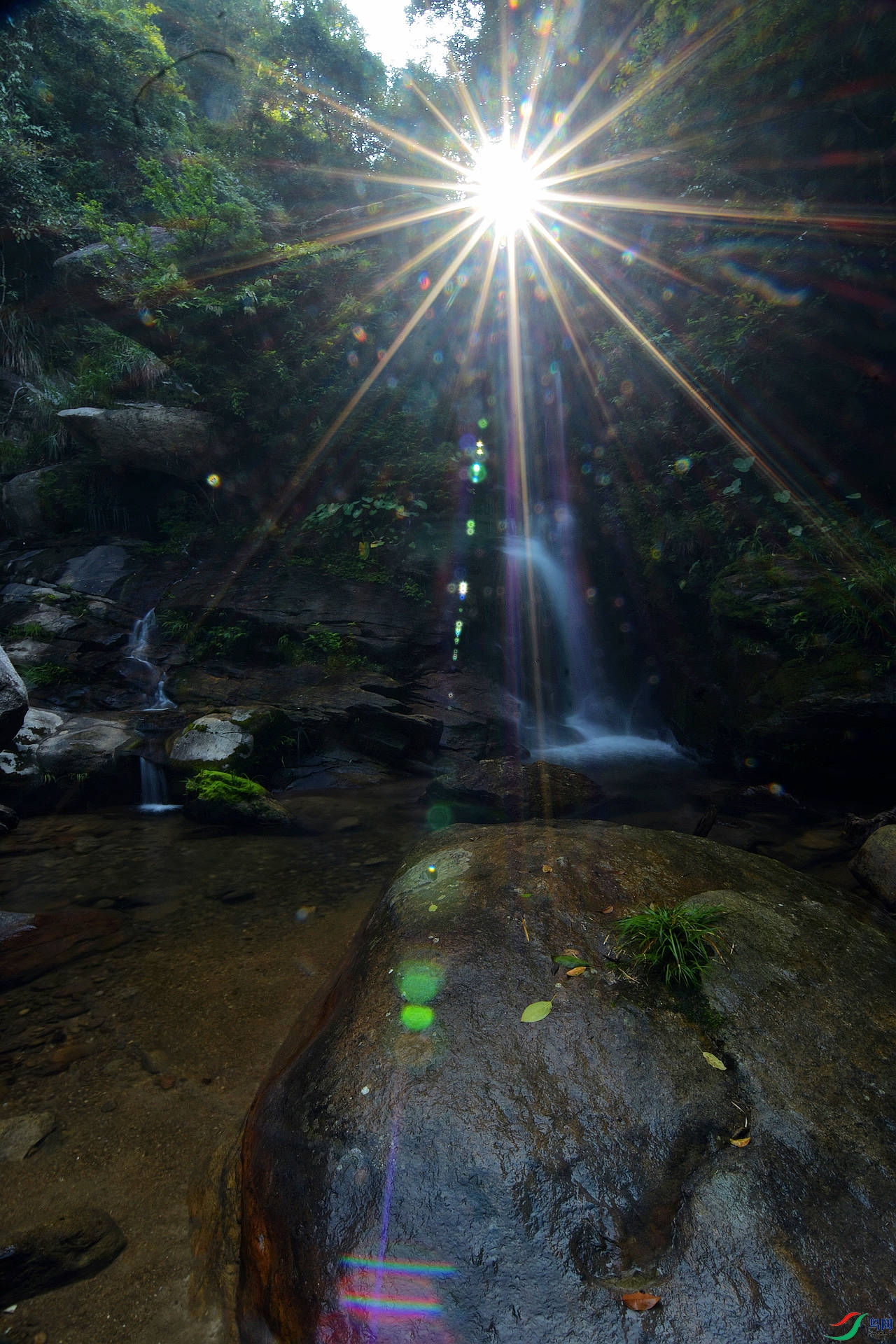 D72_9597.jpg