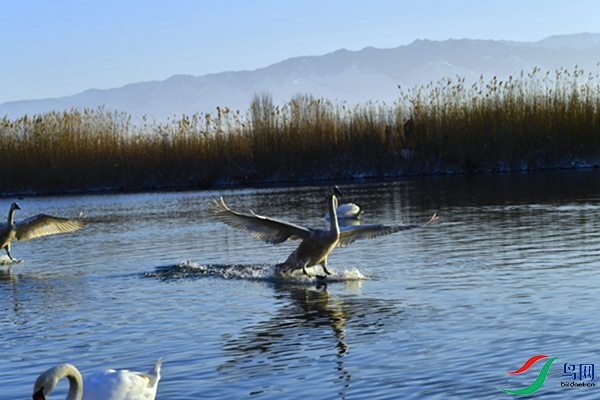 File0000079384.jpg