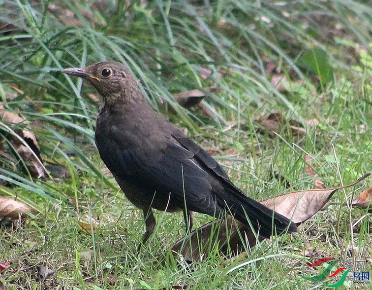 ӭ����.  ��ʦ�����������и�����.jpg