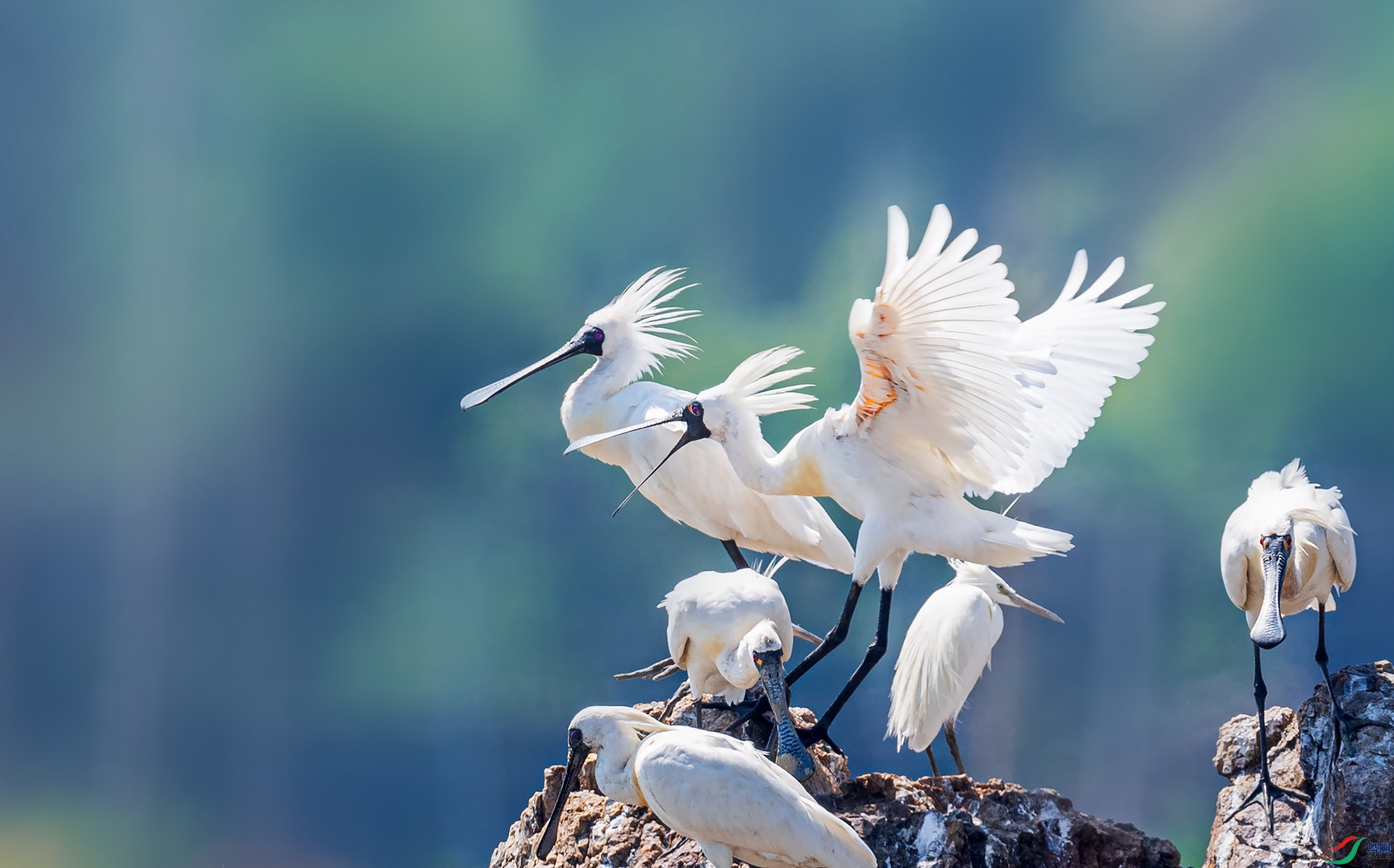 ��������