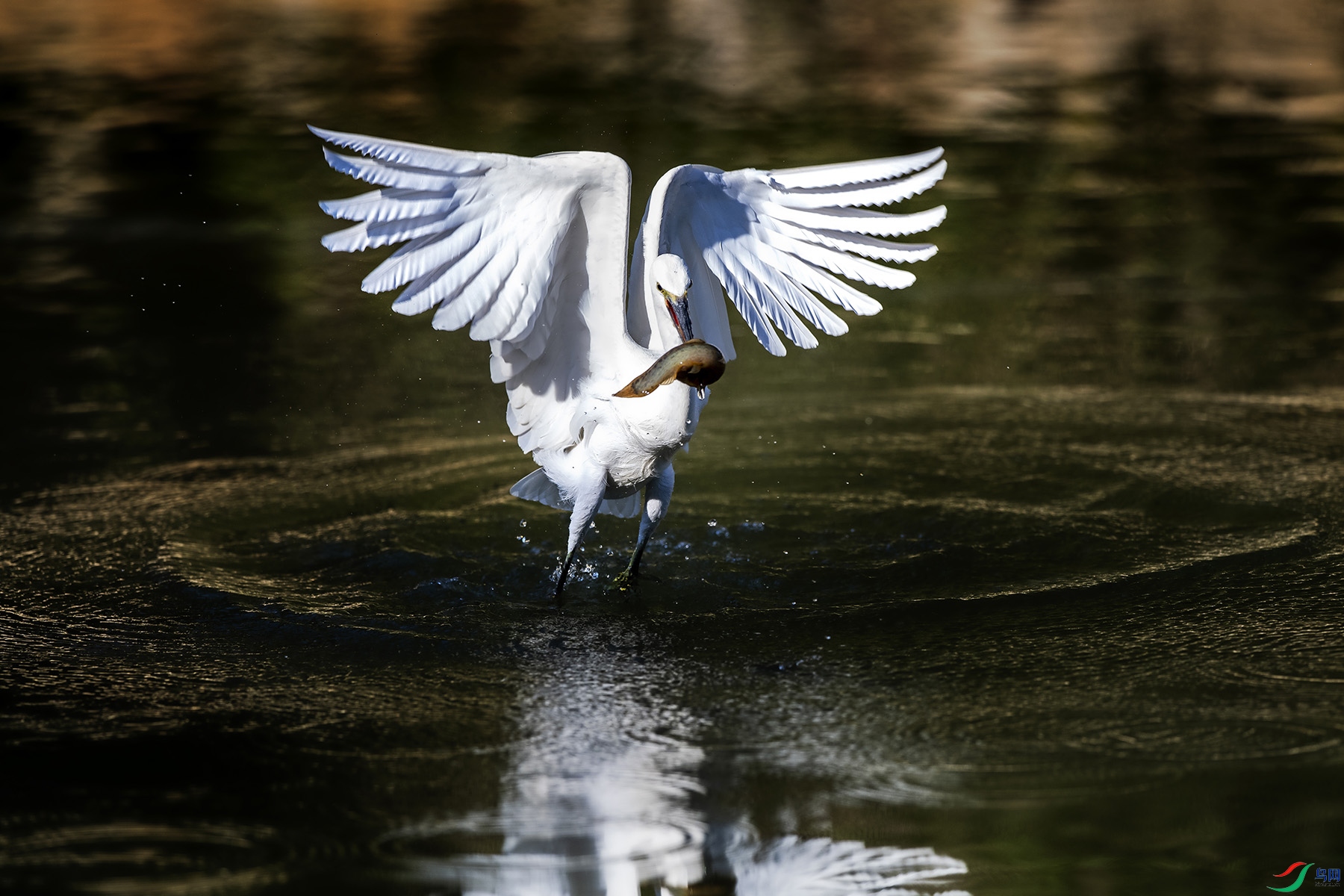 DSC_4118.jpg