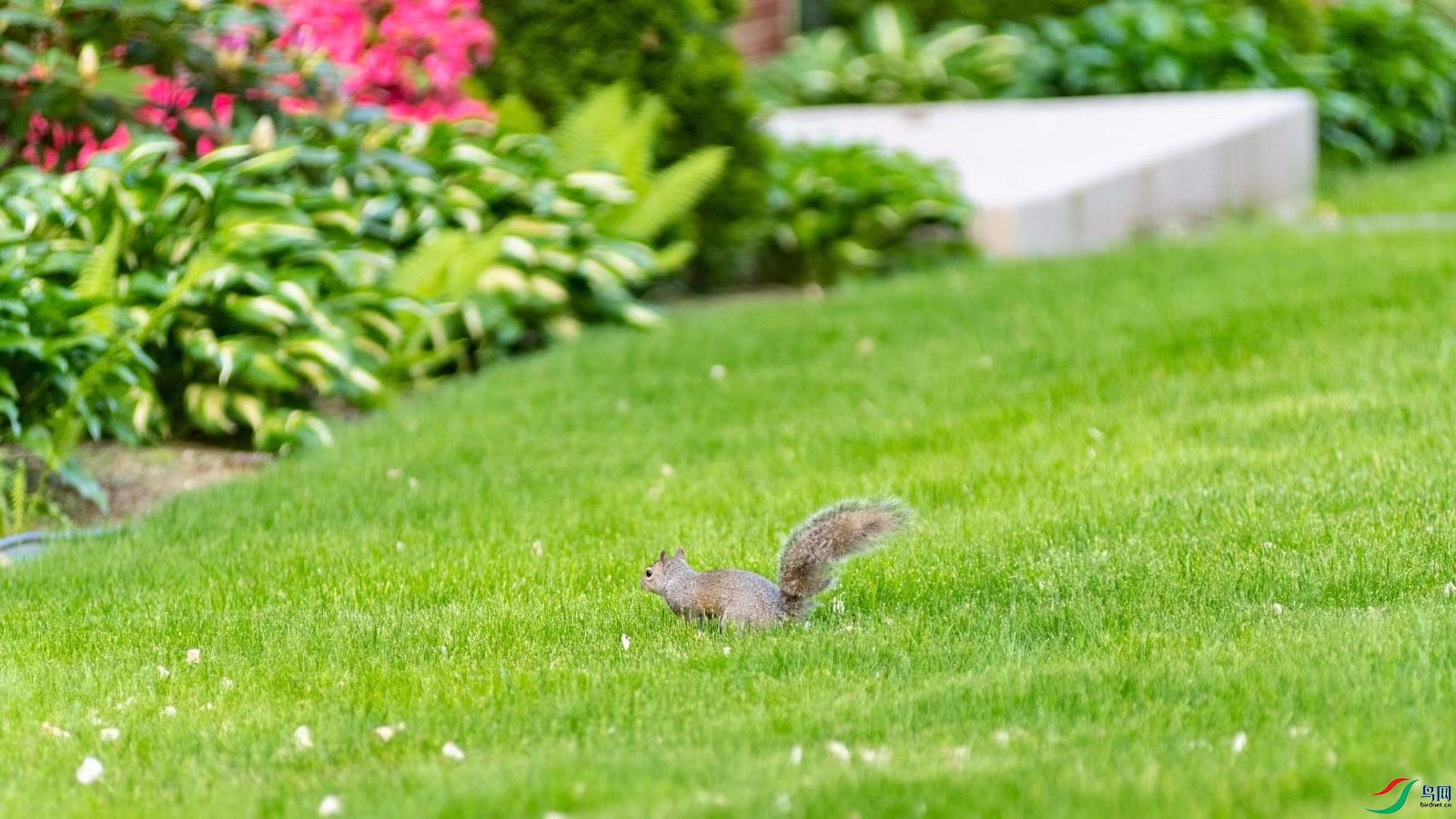 Ҫ�ܣ�����