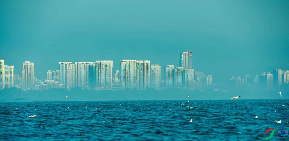 ���ǵ�һ������������῵d750����ͷ���῵80/200DС����