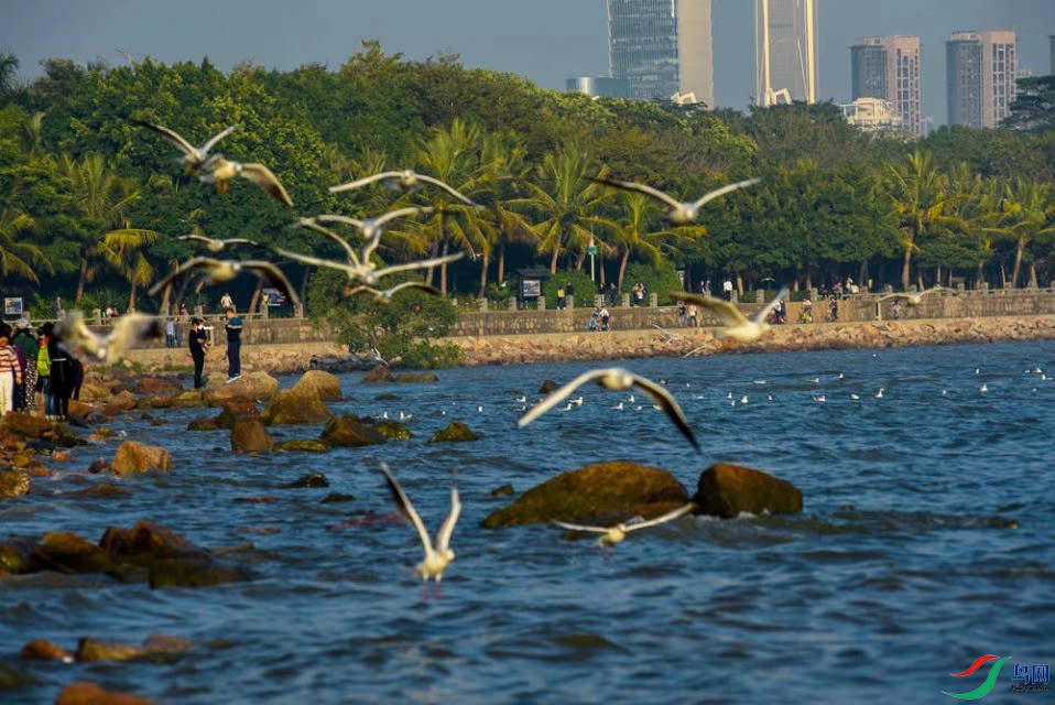 ���ǵ�һ������������῵d750����ͷ���῵80/200DС����