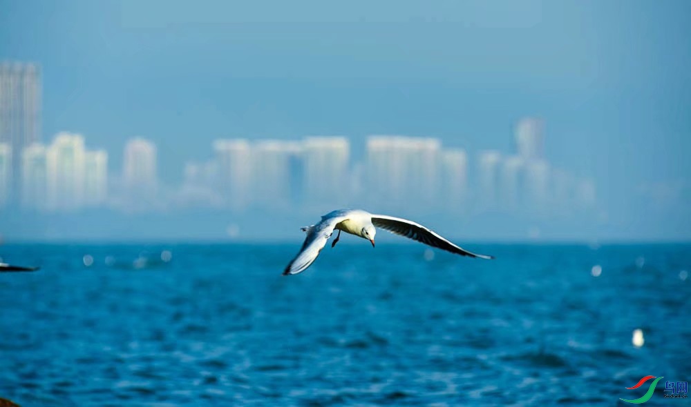 ���ǵ�һ������������῵d750����ͷ���῵80/200DС����