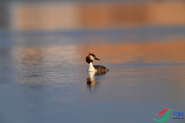 _DSC1298.jpg