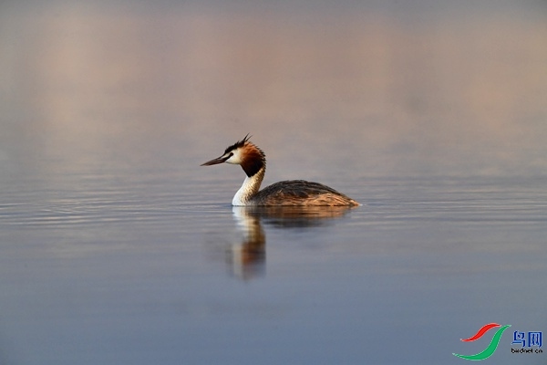 _DSC1345.jpg