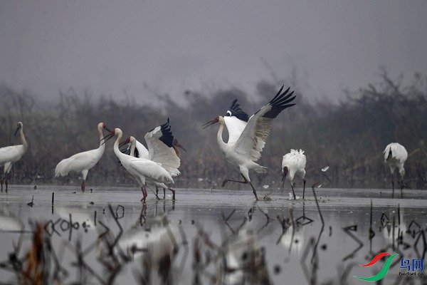 _DSC7461.jpg