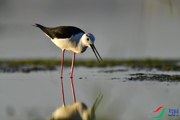 _DSC1087.jpg