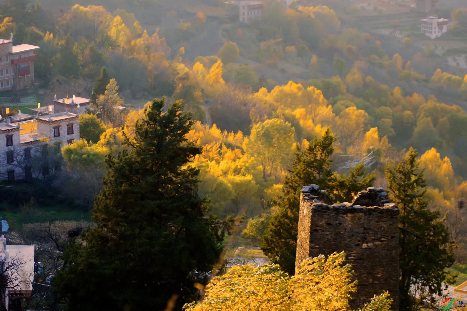 ���Ͳ�կ����¥