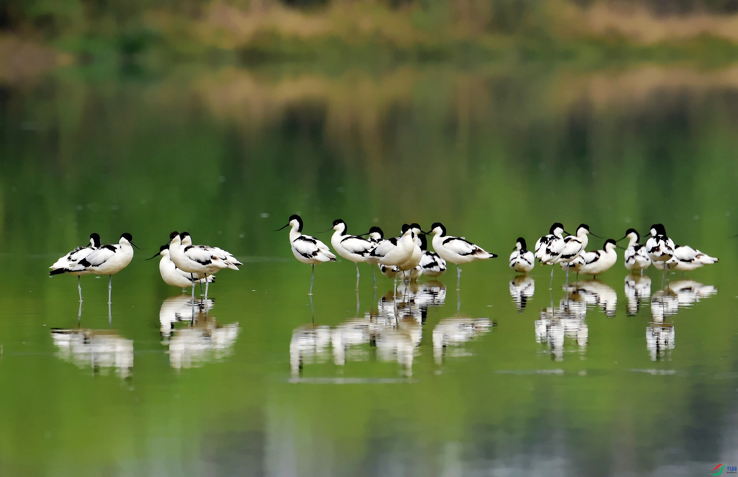 DSC_7494_conew5.jpg