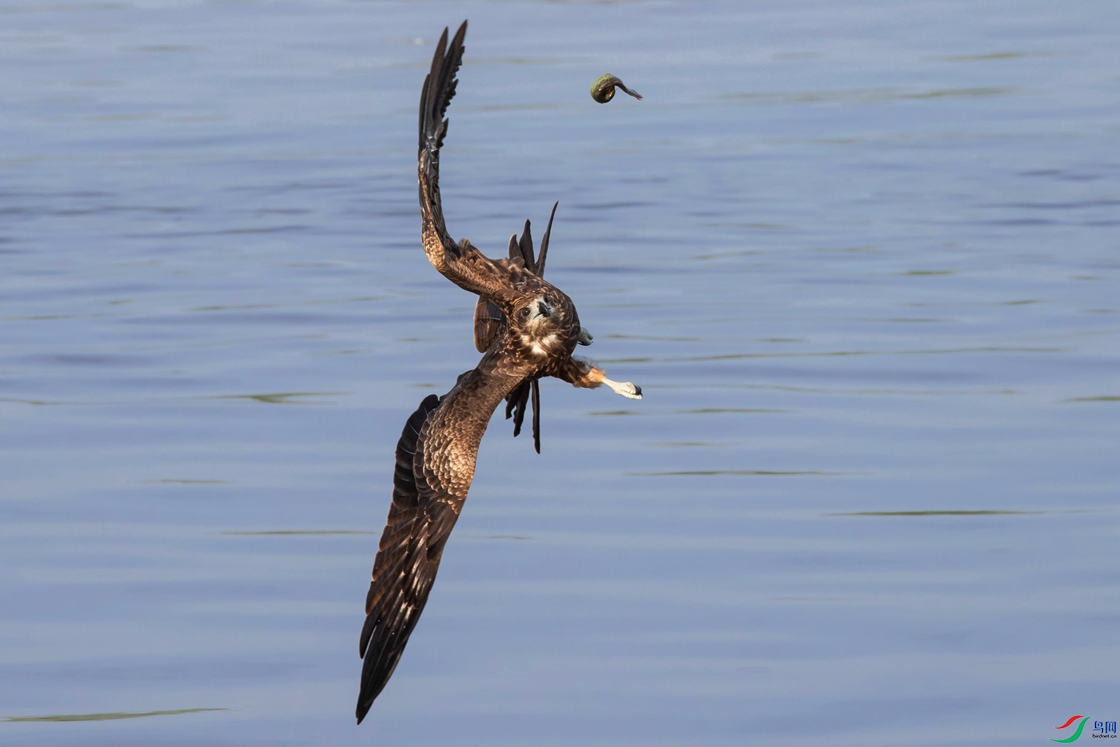 20210926-12- (472).JPG