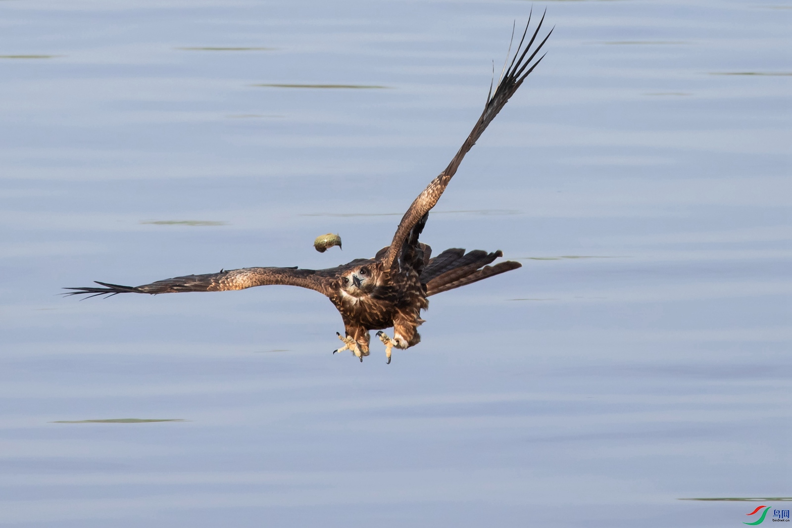 20210926-12- (477)_����.jpg