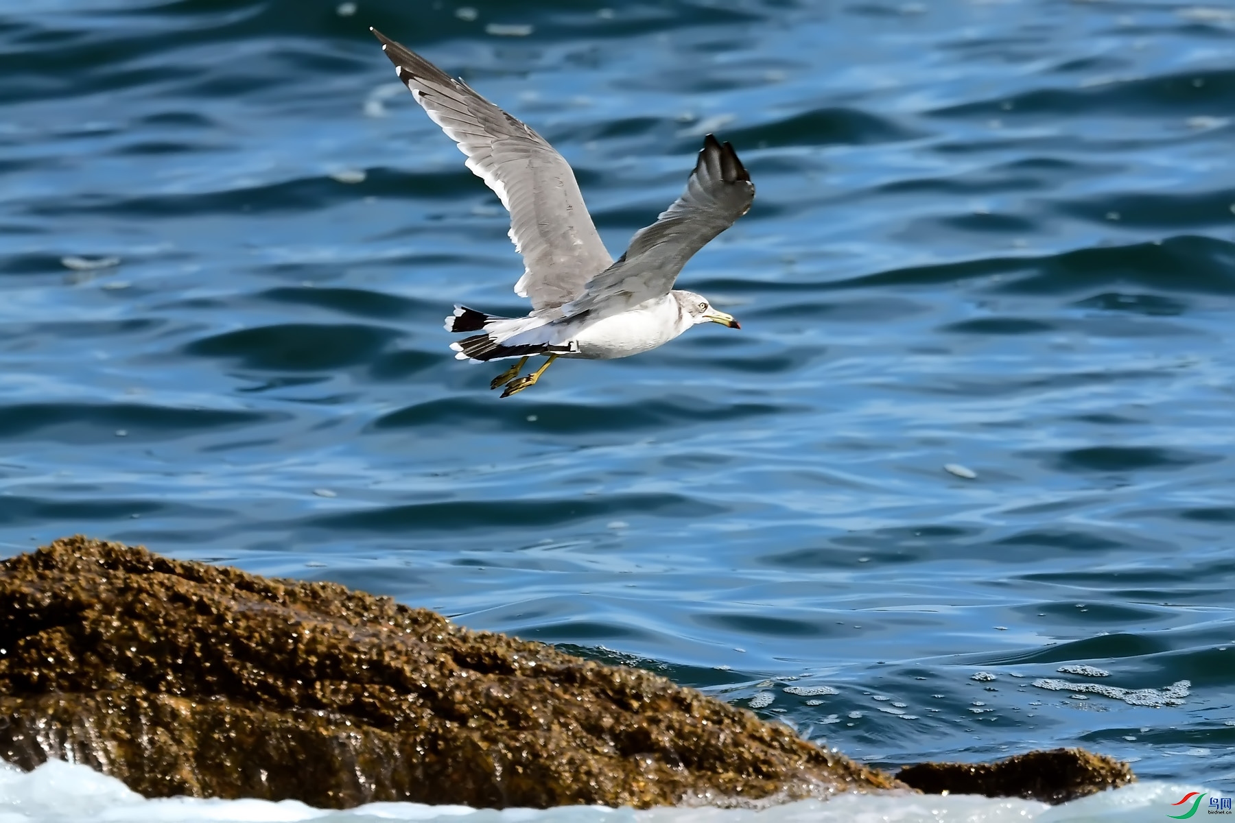 DSC_1026.jpg