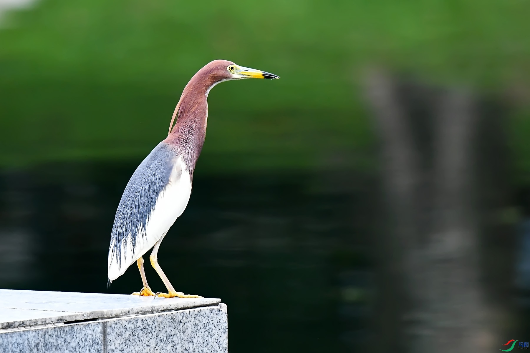 DSC_5403.jpg